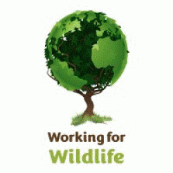 Working For Wildlife